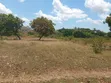 4-Acre Beach Plot for Sale at Kigamboni Mwasonga - 3