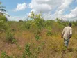 4-Acre Beach Plot for Sale at Kigamboni Mwasonga - 4
