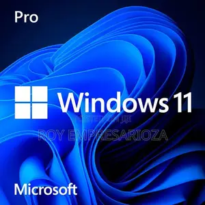 Windows 11, 10, 8, 7 Installation Service