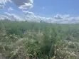 Hekta 10 za Shamba Zinauzwa Kiwangwa, Bagamoyo - Lina Hati Miliki - 1