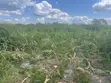 Hekta 10 za Shamba Zinauzwa Kiwangwa, Bagamoyo - Lina Hati Miliki - 3