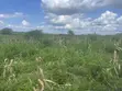 Hekta 10 za Shamba Zinauzwa Kiwangwa, Bagamoyo - Lina Hati Miliki - 5