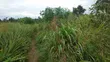 Plot for Sale - 30x25m in Kiwangwa, Bagamoyo - 2