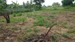 Plot for Sale - 30x25m in Kiwangwa, Bagamoyo - 3
