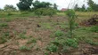 Plot for Sale - 30x25m in Kiwangwa, Bagamoyo - 4