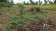 Plot for Sale - 30x25m in Kiwangwa, Bagamoyo - 5