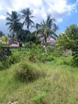 2000 sqm Residential Land for Sale in Ukonga Moshi Bar - 4