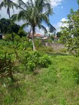 2000 sqm Residential Land for Sale in Ukonga Moshi Bar - 5