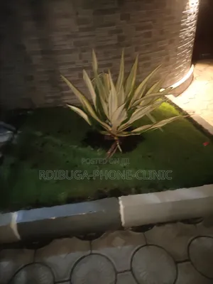 Gardening and Landscape Design Services