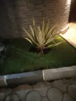 Gardening and Landscape Design Services - 3