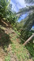 Industrial Plot for Sale, Salasala IPTL - 5