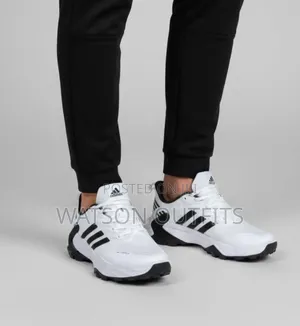 Adidas Terrex Raba Classic Men's Leather Shoes