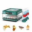 Incubator Machine - Electric & Solar - 4