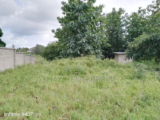 Land for Sale in Manzese Mabwepande - 1