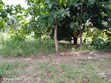 Land for Sale in Manzese Mabwepande - 2