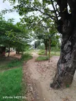 Residential Plot for Sale - Mabwepande - 5