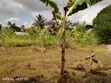 Land Plot for Sale - 1060 sqm, Bunju - 5
