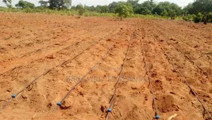 Drip Irrigation for Crops