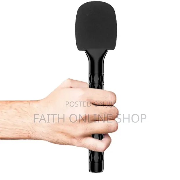 Professional Handheld Interview Microphone - 1