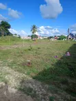 Residential Plots for Sale - Kivule Kwa Mpemba - 3