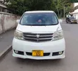 Toyota Alphard 2006 White - 1