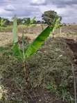 Affordable Plot for Sale on Nduruma Road, Arusha - 1