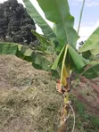 Affordable Plot for Sale on Nduruma Road, Arusha - 4