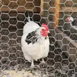 Mr Fence: Chain Link Fence Installation - 4
