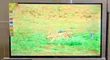 Vitron 32" Frameless LED TV - 1