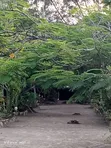Furnished 7-Bedroom Bungalow for Sale in Magharibi, Zanzibar - 3