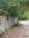 Furnished 7-Bedroom Bungalow for Sale in Magharibi, Zanzibar - 4