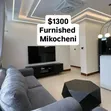 Furnished 2 Bedroom Apartment for Rent in Mikocheni - 1