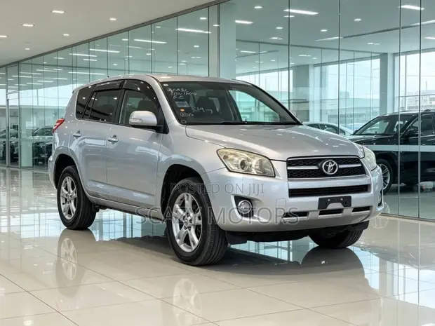 Toyota RAV4 2009 Silver - 1