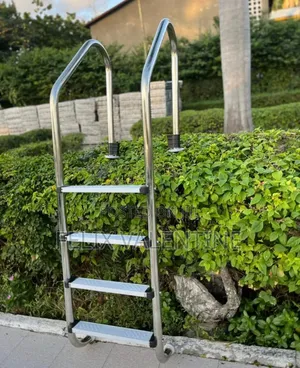 Stainless Steel Pool Ladders/Steps