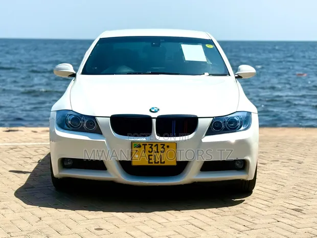 BMW 3 Series 2008 Nyeupe - 1