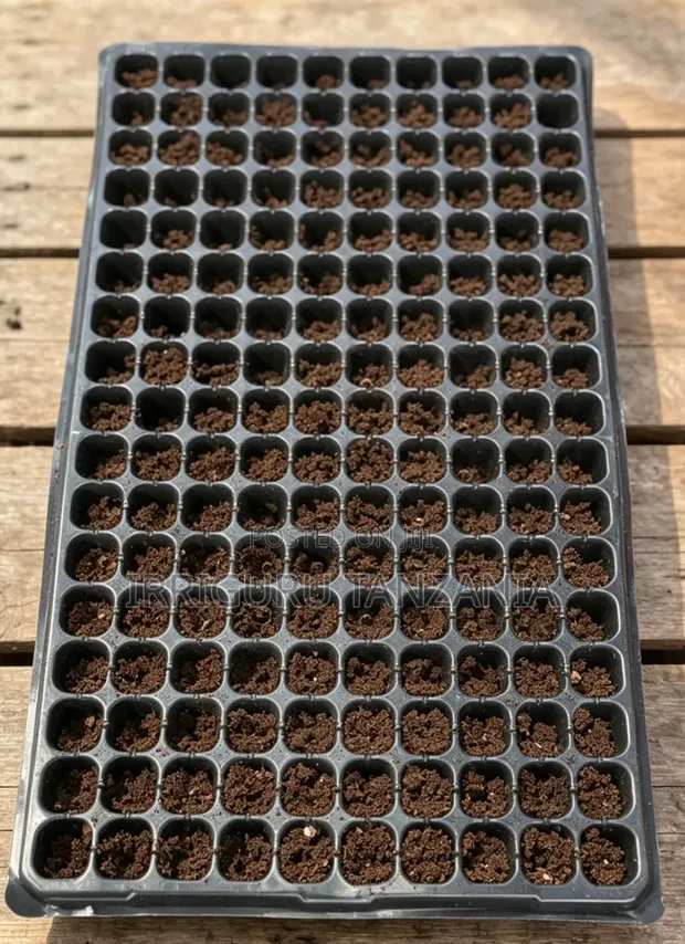 Brand New Sowing Trays - 1