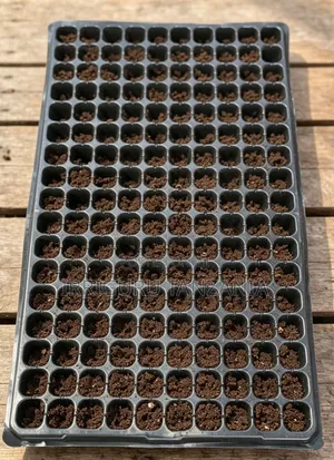 Brand New Sowing Trays
