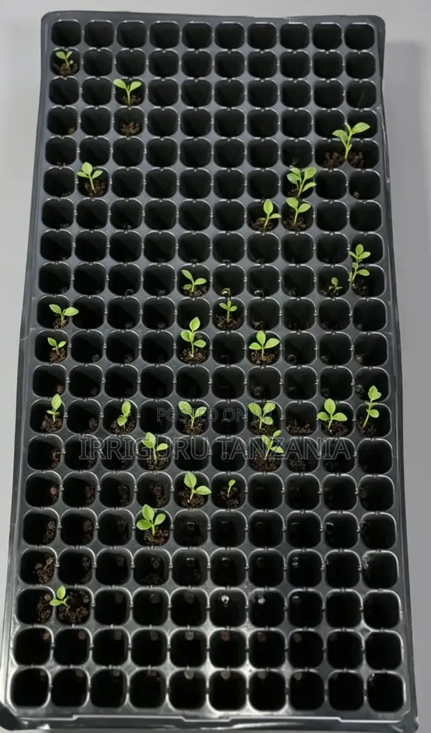 Planting Trays - 1