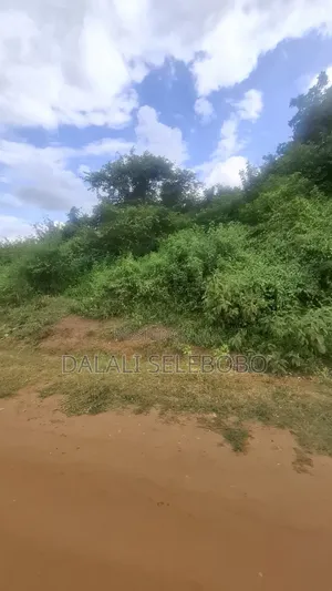 70 Acres Coffee Farm for Sale, Dodoma Road, Arusha