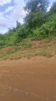 70 Acres Coffee Farm for Sale, Dodoma Road, Arusha - 3