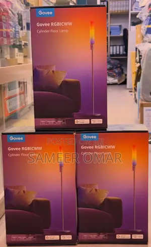 Govee RGB Floor Lamp