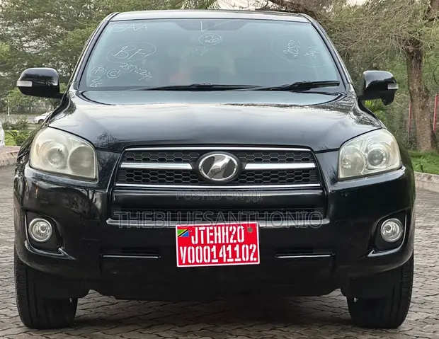 Toyota RAV4 2010 Black - 1