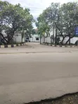 8 Bedroom House for Sale in Masaki - 5