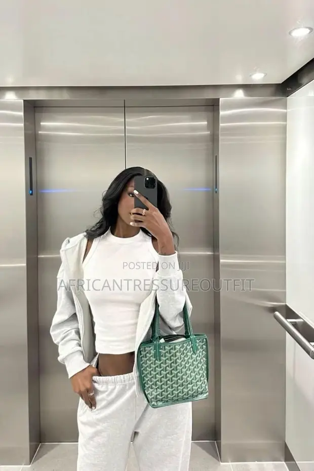 Goyard Anjou Mini Bag na Pochi ya Sarafu Inayotenganishwa - 1