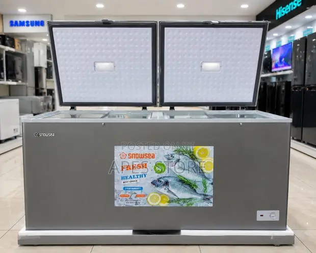 Snowsea 550L Freezer BD55S - 1