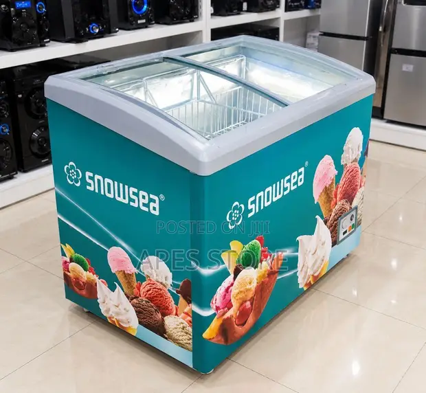 Snowsea Showcase Freezer 300 Liters - 1