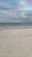 Beach Hotel for Rent in Jambiani, Zanzibar - 5