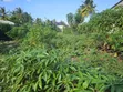 Residential Plot for Sale, Ungindoni, Kigamboni - 1