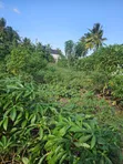 Residential Plot for Sale, Ungindoni, Kigamboni - 2