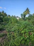 Residential Plot for Sale, Ungindoni, Kigamboni - 3